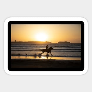 Galloping at sunset Sticker